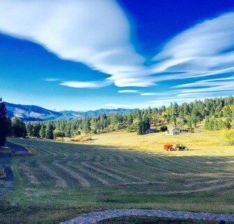 You're invited to check out this view from The BirdieBall Putting Green Factory in Evergreen, Colorado, USA