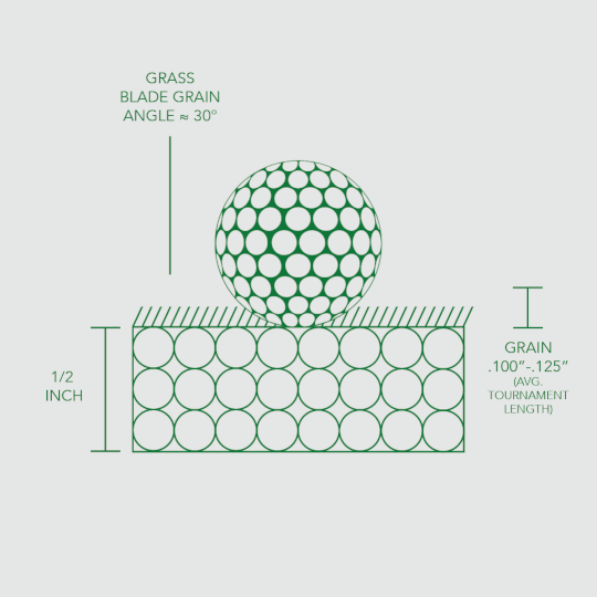Diagram showing a golf ball on the BirdieBall Indoor Putting Green – Classic Depth Putting Mat, featuring 0.1–0.125 inch grass cut, a 30° grain angle, and realistic 1/2 inch grass height. Starting at $90.
